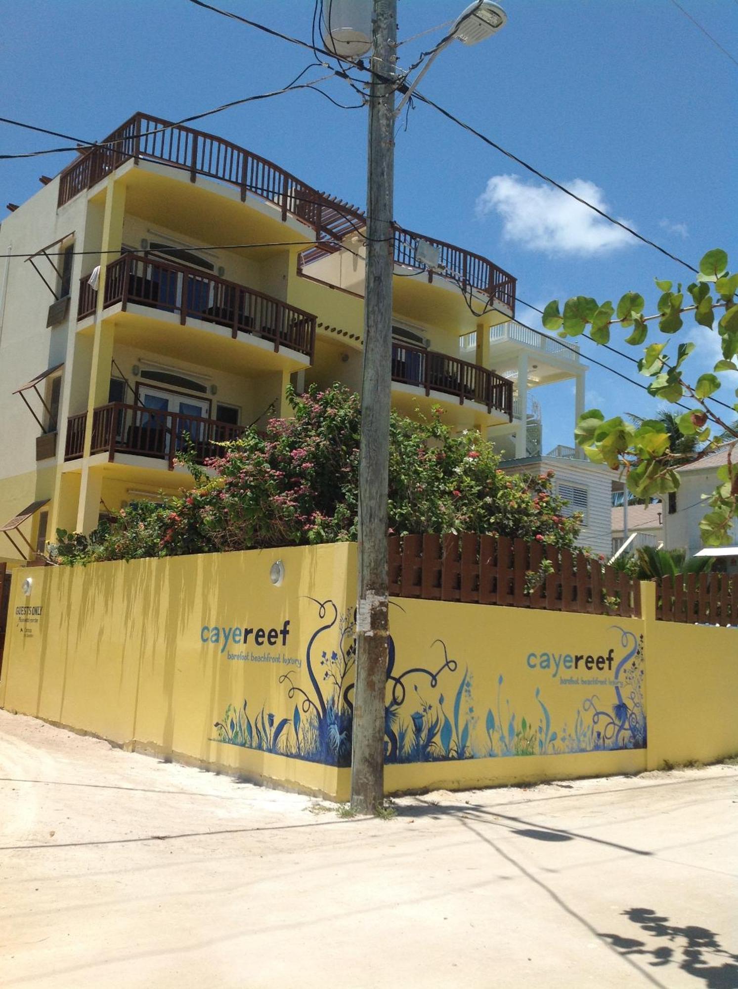 Caye Reef Condos Caye Caulker Værelse billede