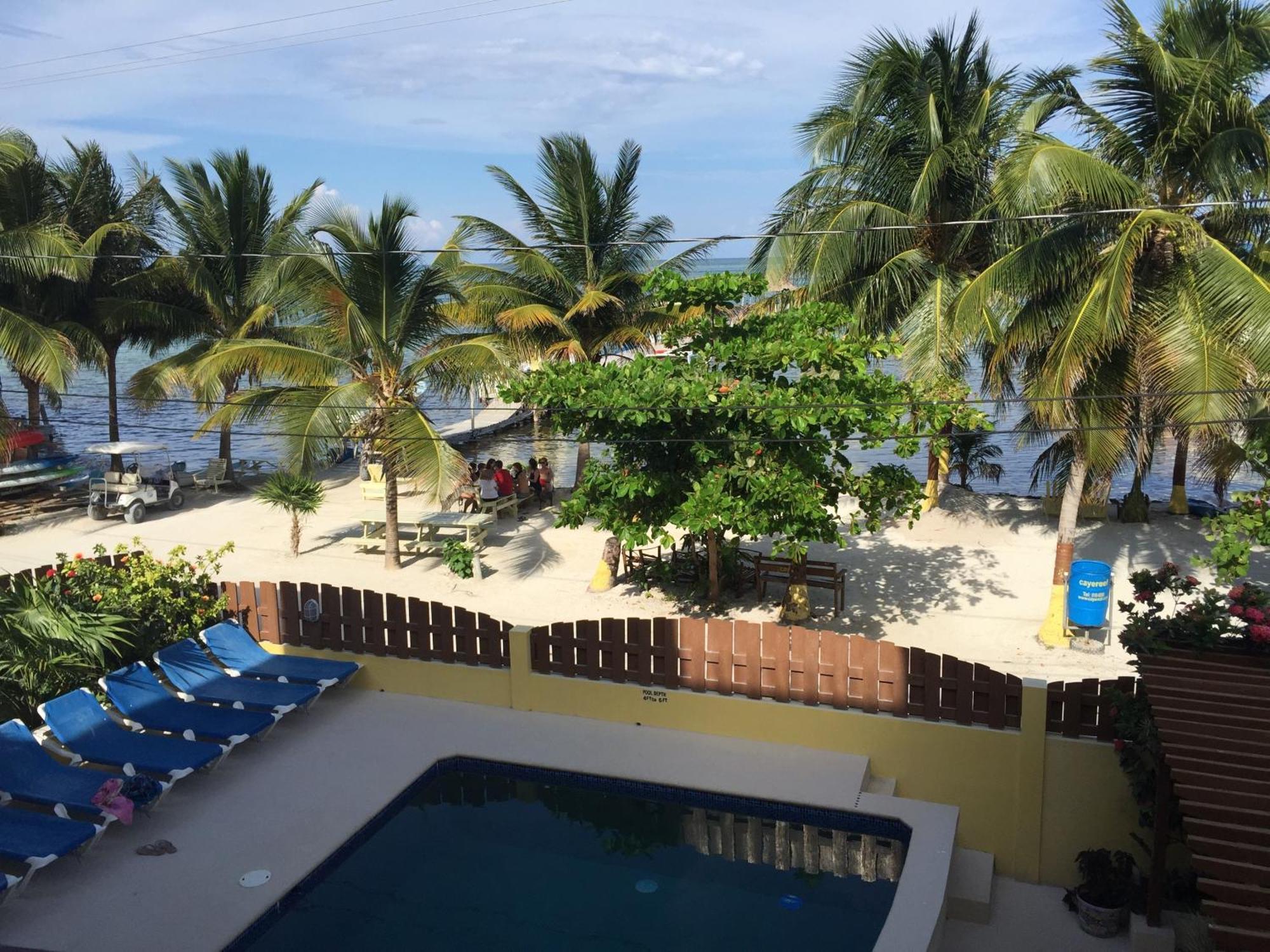 Caye Reef Condos Caye Caulker Værelse billede