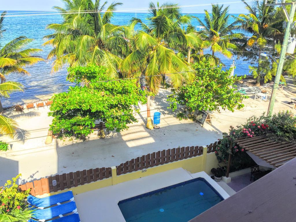 Caye Reef Condos Caye Caulker Værelse billede